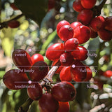 Sweet Traditional Decaf