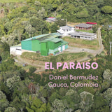 PEACH PERFECT - El Paraiso Sugar Cane Decaf