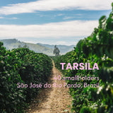 NUTTY NIB - Tarsila Decaf