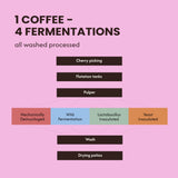 THE FERMENTATION PROJECT "Tasting Kit" by James Hoffmann & Lucia Solis