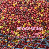 SANDIA SOL - San Agustin & El Vergel Decaf