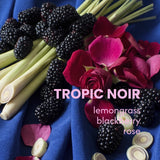TROPIC NOIR - Wilton Benitez Decaf